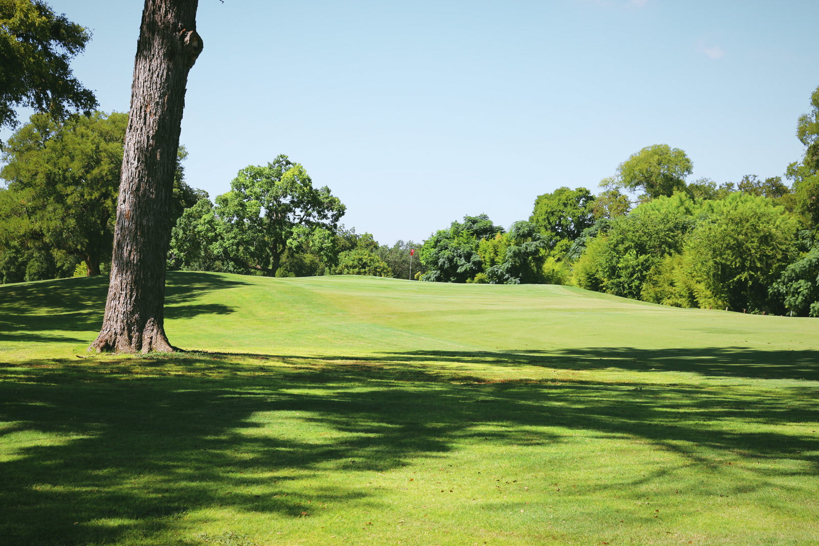 Course Photo Gallery Alamo City Golf Trail