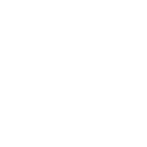 NH-logo-white-transparent