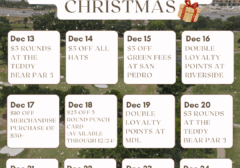 12 days of Christmas (1)