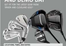 Demo days (1)